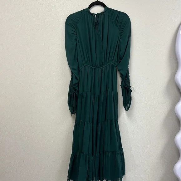 Noelle gathered silk midi dress - Picture 9 of 10